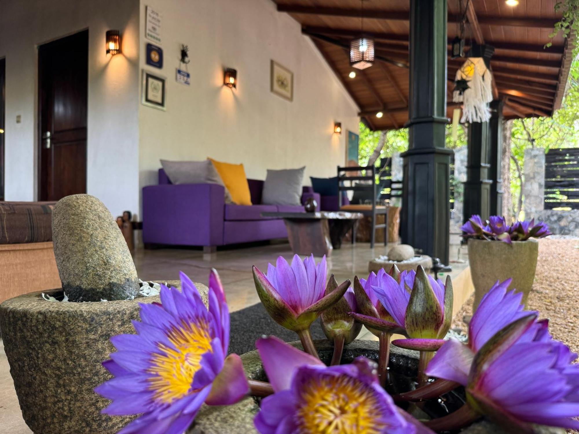 The Green Edge Dambulla Exterior foto