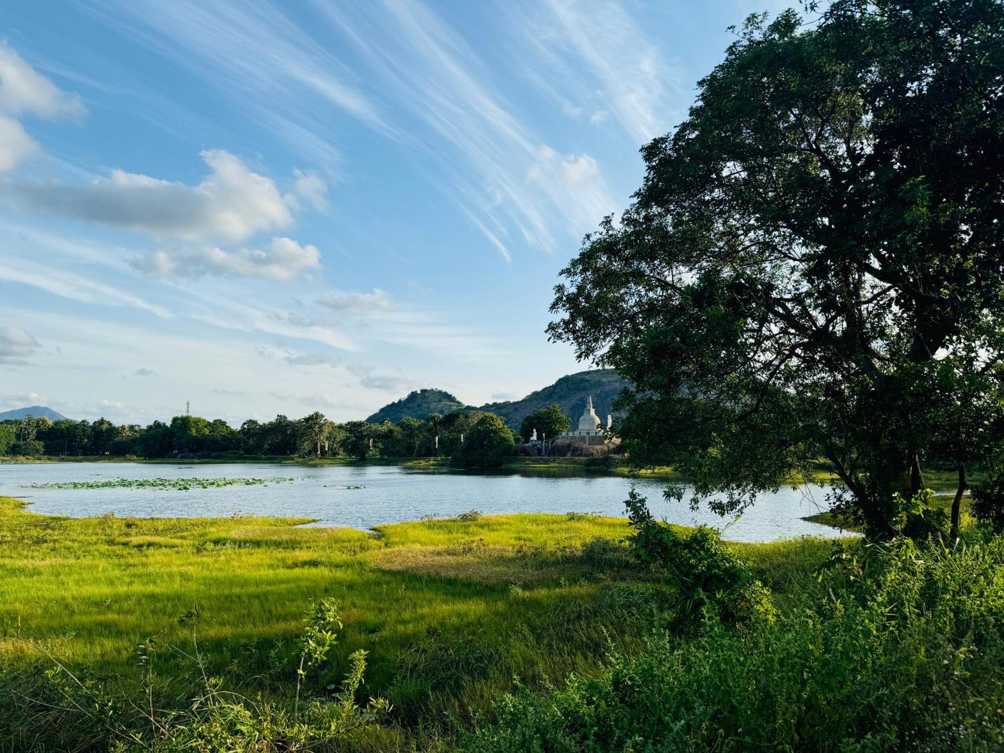 The Green Edge Dambulla Exterior foto